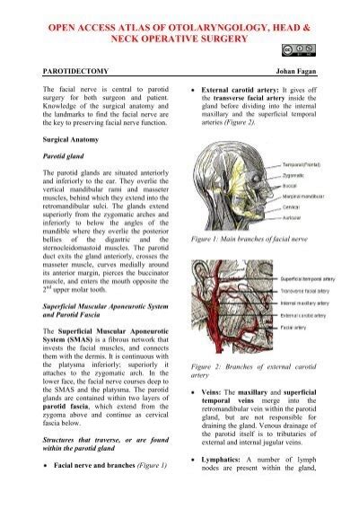 total laryngectomy vula|OPEN ACCESS ATLAS OF OTOLARYNGOLOGY, HEAD & NECK OPERATI.